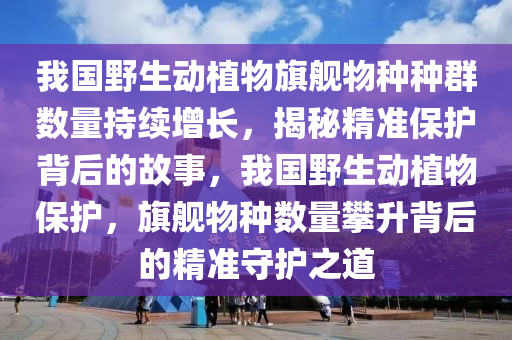 我國野生動植物旗艦物種種群數量持續(xù)增長，揭秘精準保護背后的故事，我國野生動植物保護，旗艦物種數量攀升背后的精準守護之道