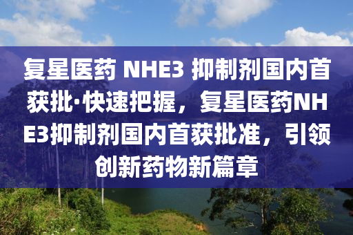 復(fù)星醫(yī)藥 NHE3 抑制劑國內(nèi)首獲批·快速把握，復(fù)星醫(yī)藥NHE3抑制劑國內(nèi)首獲批準(zhǔn)，引領(lǐng)創(chuàng)新藥物新篇章