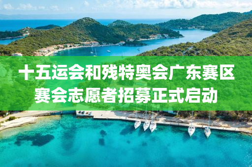 十五運(yùn)會(huì)和殘?zhí)貖W會(huì)廣東賽區(qū)賽會(huì)志愿者招募正式啟動(dòng)