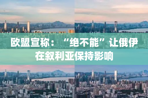歐盟宣稱：“絕不能”讓俄伊在敘利亞保持影響