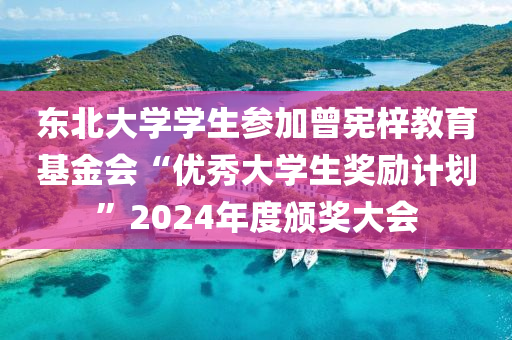 東北大學學生參加曾憲梓教育基金會“優(yōu)秀大學生獎勵計劃”2024年度頒獎大會