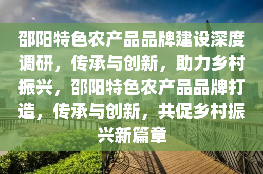 邵陽特色農(nóng)產(chǎn)品品牌建設(shè)深度調(diào)研，傳承與創(chuàng)新，助力鄉(xiāng)村振興，邵陽特色農(nóng)產(chǎn)品品牌打造，傳承與創(chuàng)新，共促鄉(xiāng)村振興新篇章