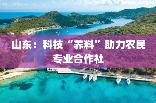 2025年3月4日 第5頁