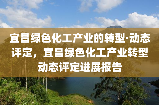 宜昌綠色化工產(chǎn)業(yè)的轉(zhuǎn)型·動態(tài)評定，宜昌綠色化工產(chǎn)業(yè)轉(zhuǎn)型動態(tài)評定進展報告