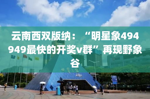 云南西雙版納：“明星象494949最快的開獎v群”再現(xiàn)野象谷