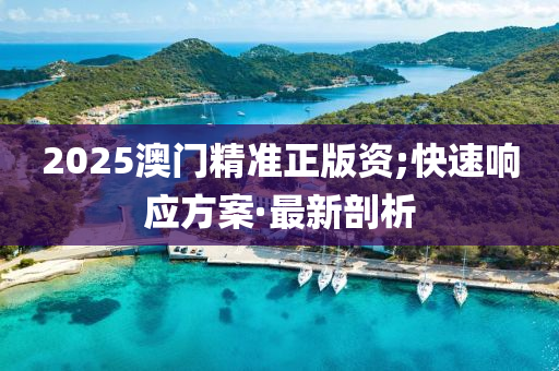 2025澳門精準(zhǔn)正版資;快速響應(yīng)方案·最新剖析