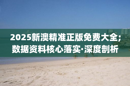 2025新澳精準(zhǔn)正版免費(fèi)大全;數(shù)據(jù)資料核心落實(shí)·深度剖析