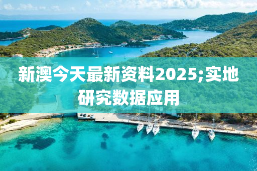 新澳今天最新資料2025;實(shí)地研究數(shù)據(jù)應(yīng)用