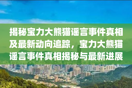 揭秘寶力大熊貓謠言事件真相及最新動(dòng)向追蹤，寶力大熊貓謠言事件真相揭秘與最新進(jìn)展