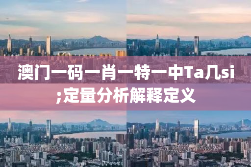 澳門一碼一肖一特一中Ta幾si;定量分析解釋定義