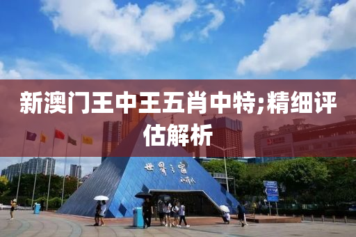 新澳門王中王五肖中特;精細評估解析