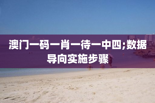 澳門一碼一肖一待一中四;數(shù)據(jù)導向?qū)嵤┎襟E
