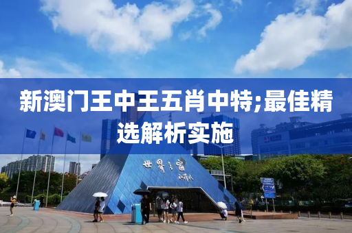新澳門王中王五肖中特;最佳精選解析實施