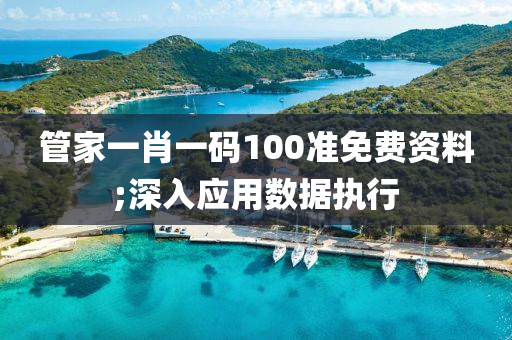 管家一肖一碼100準免費資料;深入應(yīng)用數(shù)據(jù)執(zhí)行