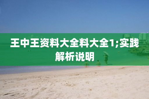 王中王資料大全料大全1;實踐解析說明