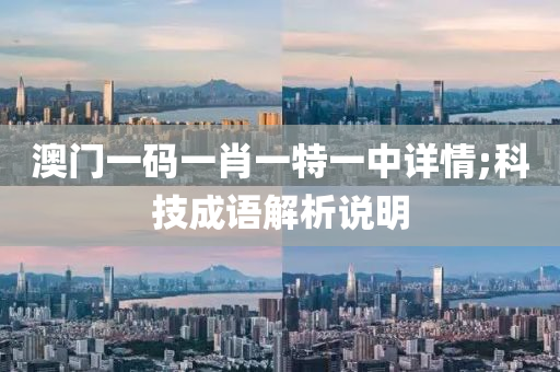 澳門一碼一肖一特一中詳情;科技成語解析說明