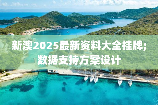 新澳2025最新資料大全掛牌;數(shù)據(jù)支持方案設(shè)計