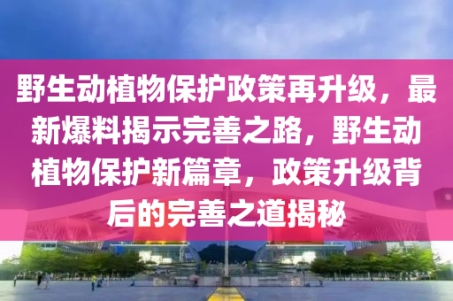 野生動(dòng)植物保護(hù)政策再升級(jí)，最新爆料揭示完善之路，野生動(dòng)植物保護(hù)新篇章，政策升級(jí)背后的完善之道揭秘