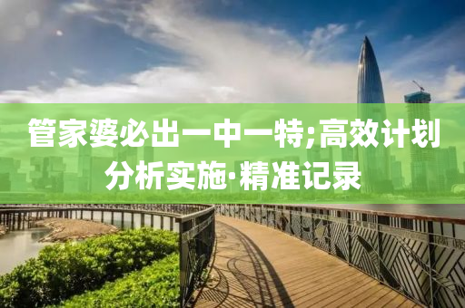 管家婆必出一中一特;高效計(jì)劃分析實(shí)施·精準(zhǔn)記錄