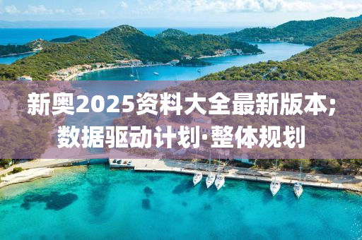新奧2025資料大全最新版本;數(shù)據(jù)驅(qū)動(dòng)計(jì)劃·整體規(guī)劃