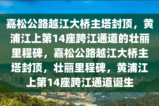 嘉松公路越江大橋主塔封頂，黃浦江上第14座跨江通道的壯麗里程碑，嘉松公路越江大橋主塔封頂，壯麗里程碑，黃浦江上第14座跨江通道誕生