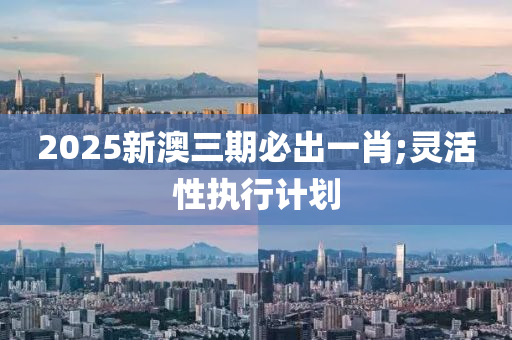 2025新澳三期必出一肖;靈活性執(zhí)行計劃