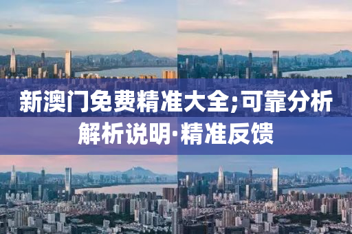 新澳門免費(fèi)精準(zhǔn)大全;可靠分析解析說明·精準(zhǔn)反饋