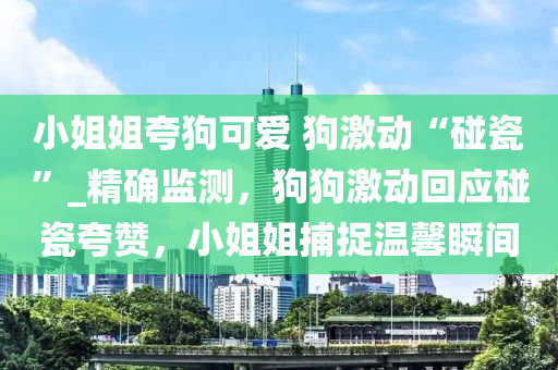 小姐姐夸狗可愛 狗激動(dòng)“碰瓷”_精確監(jiān)測(cè)，狗狗激動(dòng)回應(yīng)碰瓷夸贊，小姐姐捕捉溫馨瞬間