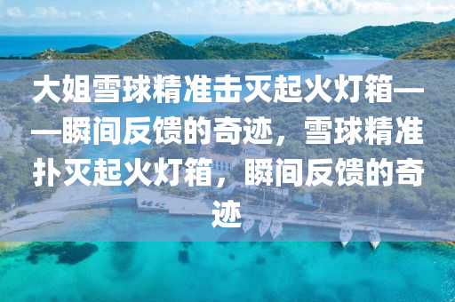 大姐雪球精準(zhǔn)擊滅起火燈箱——瞬間反饋的奇跡，雪球精準(zhǔn)撲滅起火燈箱，瞬間反饋的奇跡