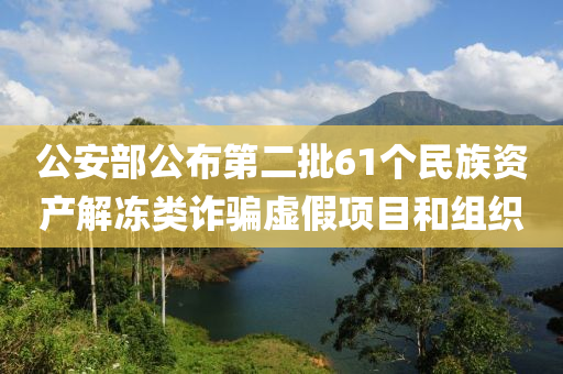 公安部公布第二批61個民族資產解凍類詐騙虛假項目和組織