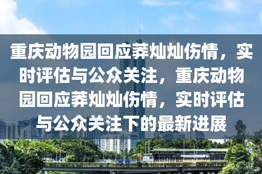 重慶動物園回應(yīng)莽燦燦傷情，實時評估與公眾關(guān)注，重慶動物園回應(yīng)莽燦燦傷情，實時評估與公眾關(guān)注下的最新進(jìn)展