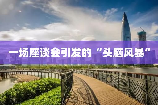 一場座談會引發(fā)的“頭腦風暴”