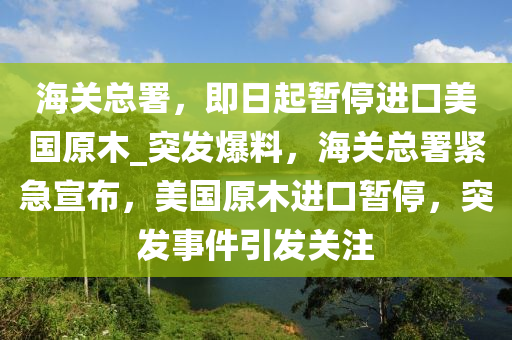 海關(guān)總署，即日起暫停進口美國原木_突發(fā)爆料，海關(guān)總署緊急宣布，美國原木進口暫停，突發(fā)事件引發(fā)關(guān)注