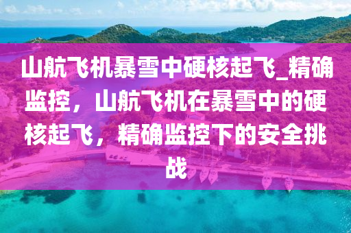 山航飛機(jī)暴雪中硬核起飛_精確監(jiān)控，山航飛機(jī)在暴雪中的硬核起飛，精確監(jiān)控下的安全挑戰(zhàn)