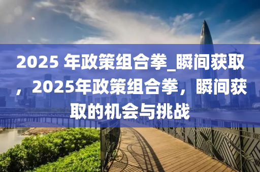 2025 年政策組合拳_瞬間獲取，2025年政策組合拳，瞬間獲取的機(jī)會(huì)與挑戰(zhàn)