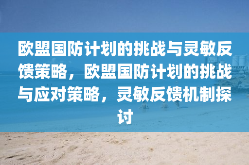 歐盟國防計劃的挑戰(zhàn)與靈敏反饋策略，歐盟國防計劃的挑戰(zhàn)與應對策略，靈敏反饋機制探討