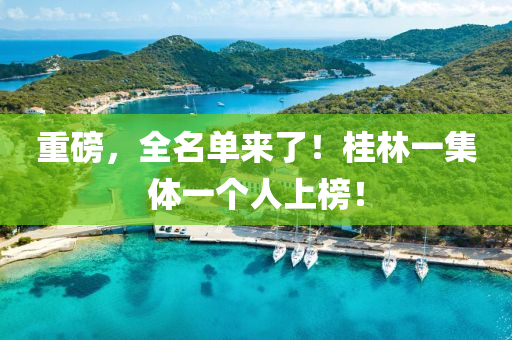 重磅，全名單來了！桂林一集體一個(gè)人上榜！