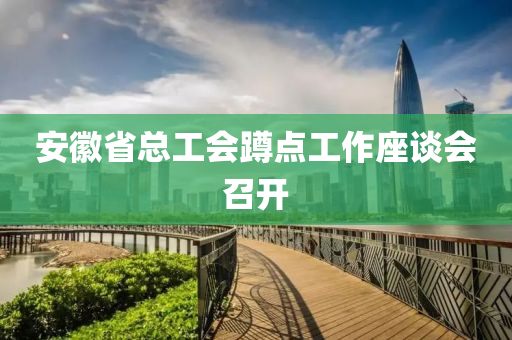 安徽省總工會(huì)蹲點(diǎn)工作座談會(huì)召開