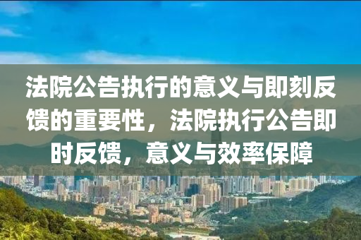 法院公告執(zhí)行的意義與即刻反饋的重要性，法院執(zhí)行公告即時(shí)反饋，意義與效率保障