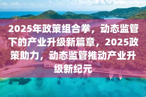 2025年政策組合拳，動態(tài)監(jiān)管下的產(chǎn)業(yè)升級新篇章，2025政策助力，動態(tài)監(jiān)管推動產(chǎn)業(yè)升級新紀元