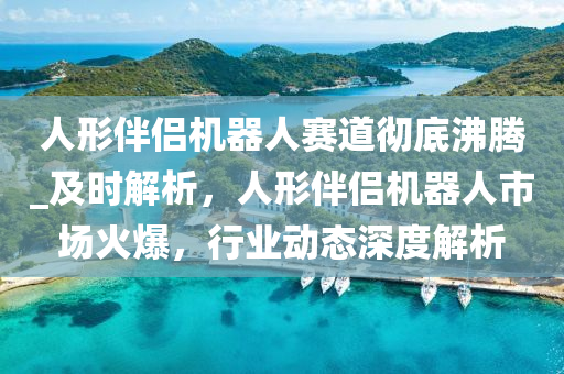 人形伴侶機器人賽道徹底沸騰_及時解析，人形伴侶機器人市場火爆，行業(yè)動態(tài)深度解析