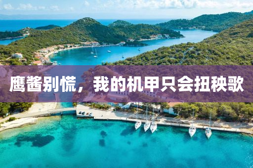 鷹醬別慌，我的機(jī)甲只會扭秧歌