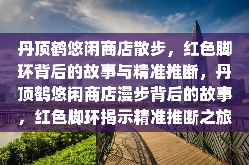 丹頂鶴悠閑商店散步，紅色腳環(huán)背后的故事與精準(zhǔn)推斷，丹頂鶴悠閑商店漫步背后的故事，紅色腳環(huán)揭示精準(zhǔn)推斷之旅