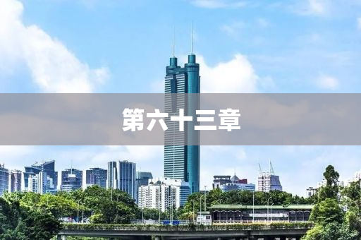 第六十三章