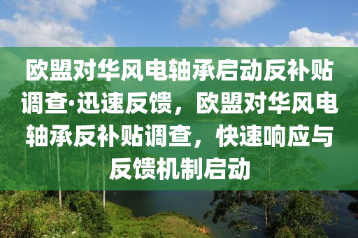 歐盟對(duì)華風(fēng)電軸承啟動(dòng)反補(bǔ)貼調(diào)查·迅速反饋，歐盟對(duì)華風(fēng)電軸承反補(bǔ)貼調(diào)查，快速響應(yīng)與反饋機(jī)制啟動(dòng)