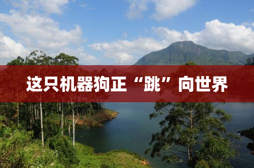 這只機器狗正“跳”向世界