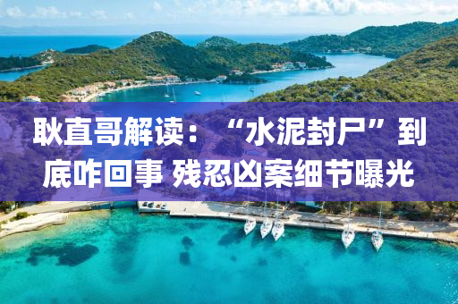 耿直哥解讀：“水泥封尸”到底咋回事 殘忍兇案細(xì)節(jié)曝光