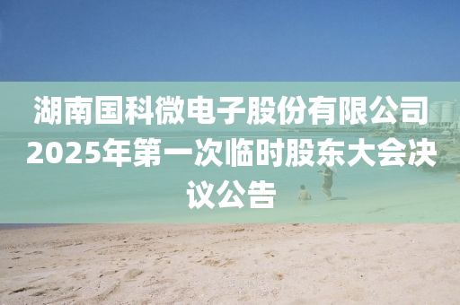 湖南國科微電子股份有限公司2025年第一次臨時股東大會決議公告