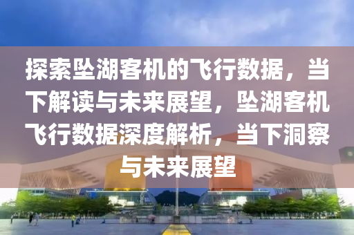 探索墜湖客機的飛行數(shù)據(jù)，當下解讀與未來展望，墜湖客機飛行數(shù)據(jù)深度解析，當下洞察與未來展望
