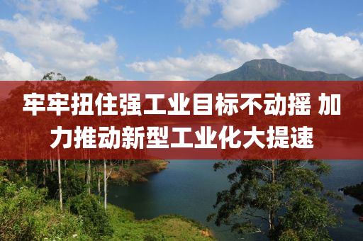 牢牢扭住強工業(yè)目標不動搖 加力推動新型工業(yè)化大提速
